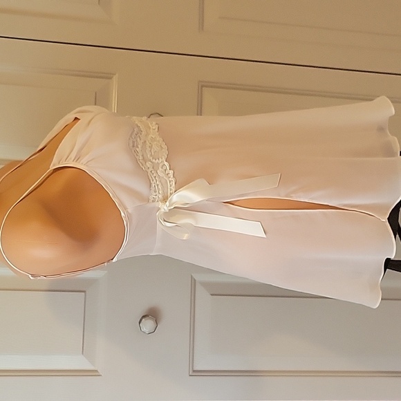 Sexy and Elegant Secret Treasures Chemise (M) - Picture 6 of 7